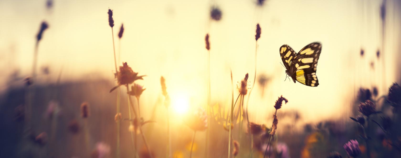 iStock 507031708 1