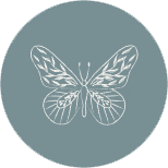 icon b2