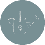 icon b3