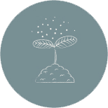 icon b7