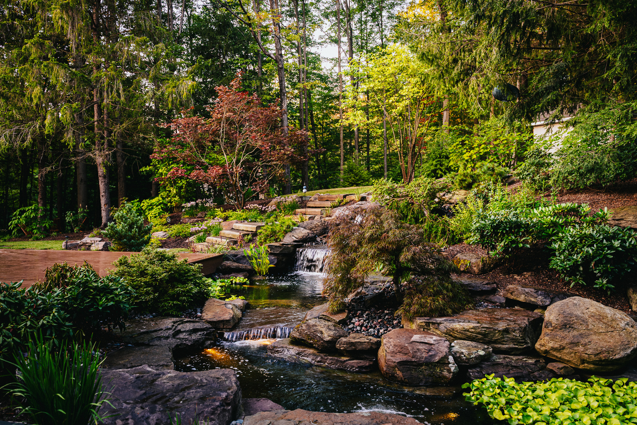 Natural stone waterfall and pond framed by layered woodland plantings.
